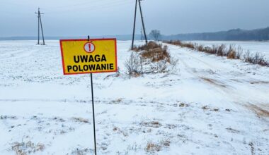 Konfederacja chce udziału dzieci w polowaniach. „Tylko Polska tego zakazuje”