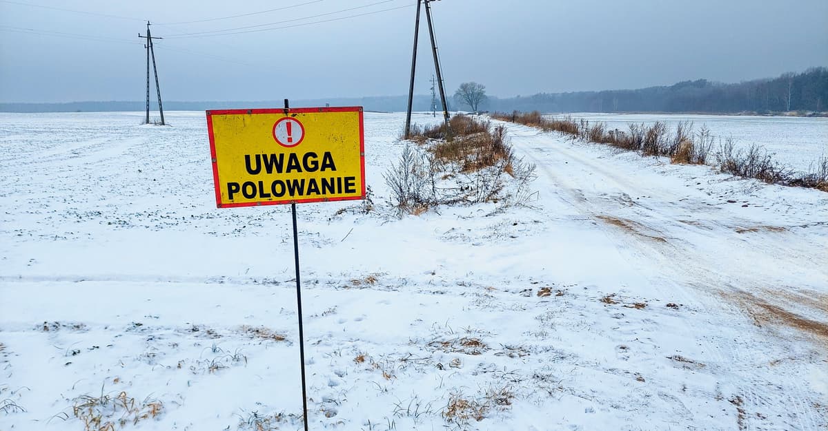 Konfederacja chce udziału dzieci w polowaniach. „Tylko Polska tego zakazuje”