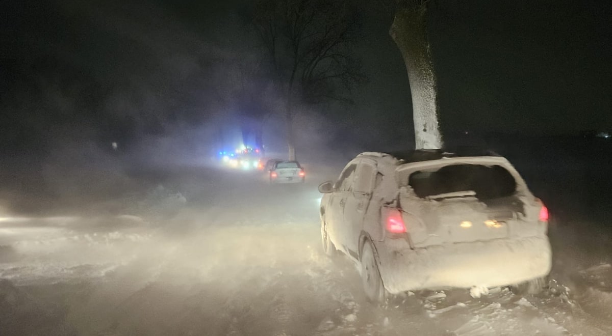 Jedna noc i pół Polski pod śniegiem. Meteorolodzy pokazali animację - Polska