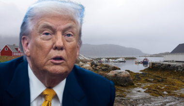 Portret Donalda Trumpa na tle krajobrazu Grenlandii