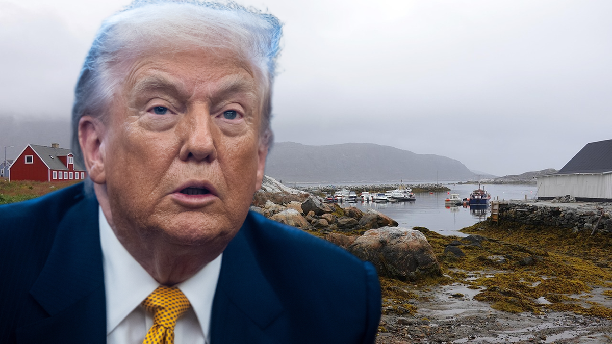 Portret Donalda Trumpa na tle krajobrazu Grenlandii