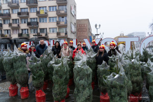 Oddali elektroodpady i sztuczne choinki w zamian za naturalne drzewka