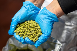 Problemy z kotłami na pellet. Trzeba spełnić warunki i mieć zgodę wspólnoty