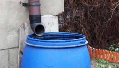 Do 4000 zł na deszczówkę. Od 15 stycznia rusza kolejna edycja programu „Mój Deszcz”