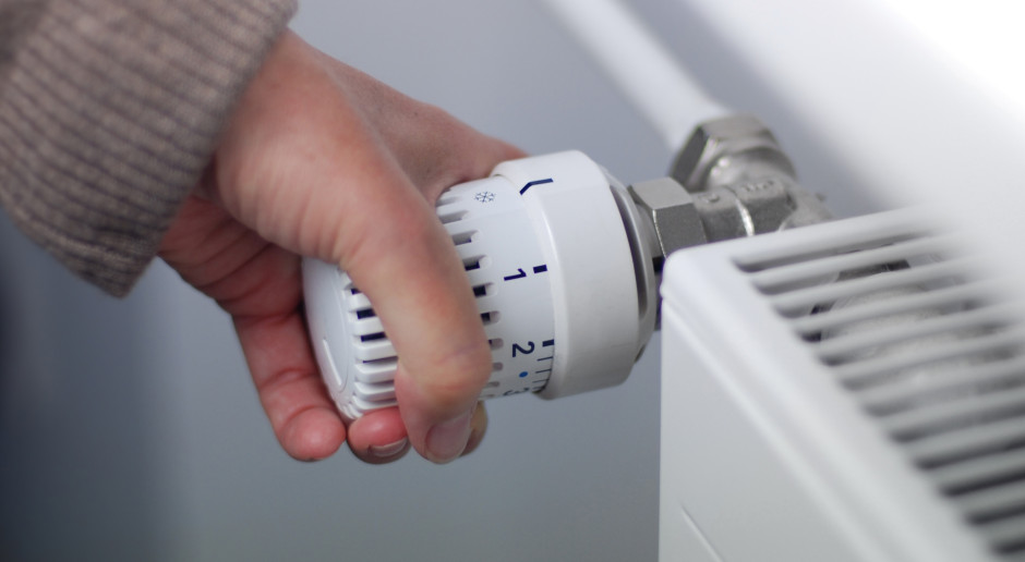 Właściciele domów masowo zmieniają rodzaj ogrzewania. Węgiel i drewno idą w odstawkę - Portal Samorządowy