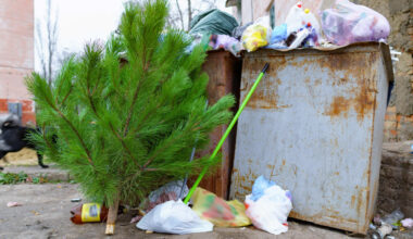500 zł kary za rozebraną choinkę. Strażnicy miejscy nie mają litości