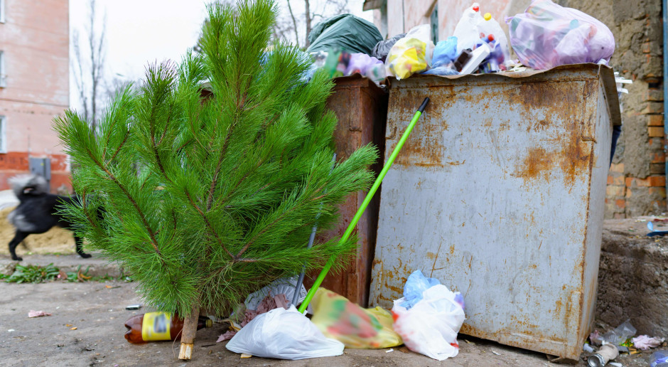 500 zł kary za rozebraną choinkę. Strażnicy miejscy nie mają litości
