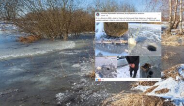 Sprawca przyłapany na nielegalnym połowie ryb