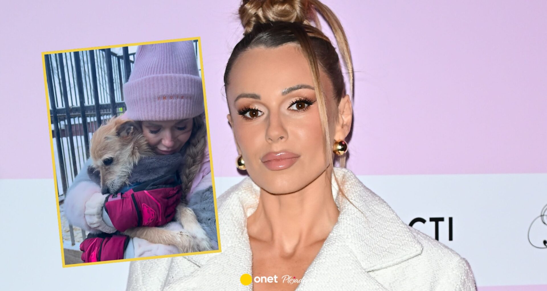 Pomoc Dody w schroniskach wywołała dyskusję. Ekspertka ostrzega