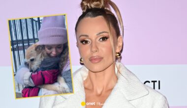 Pomoc Dody w schroniskach wywołała dyskusję. Ekspertka ostrzega