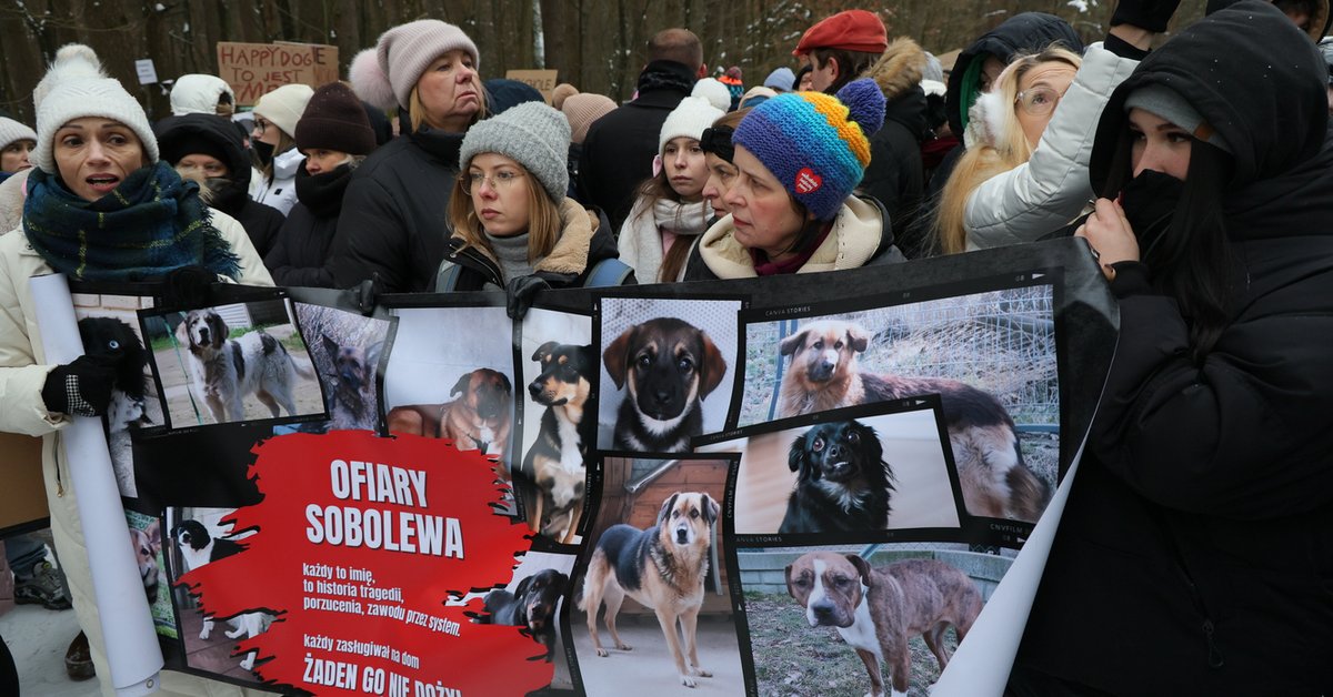 Sprawa schroniska dla zwierząt w Sobolewie. Wojewoda żąda wyjaśnień