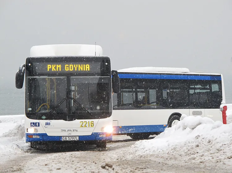 Nowych autobusów należy się spodziewać w przyszłym roku.