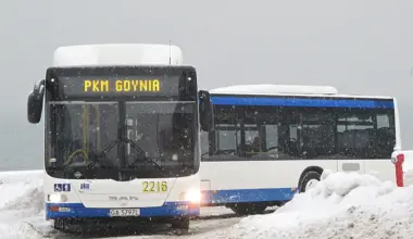 Gdynia kupuje 18 autobusów spalinowych. Tuż przed zmianą przepisów