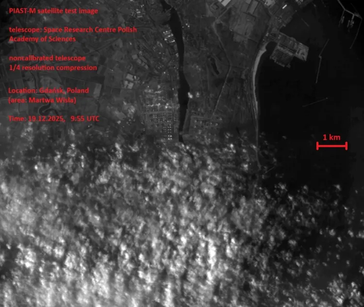 Okolice ujścia Martwej Wisły.