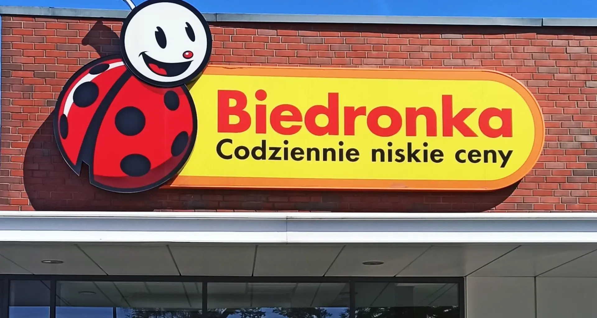 Biedronka, zdjęcie ilustracyjne