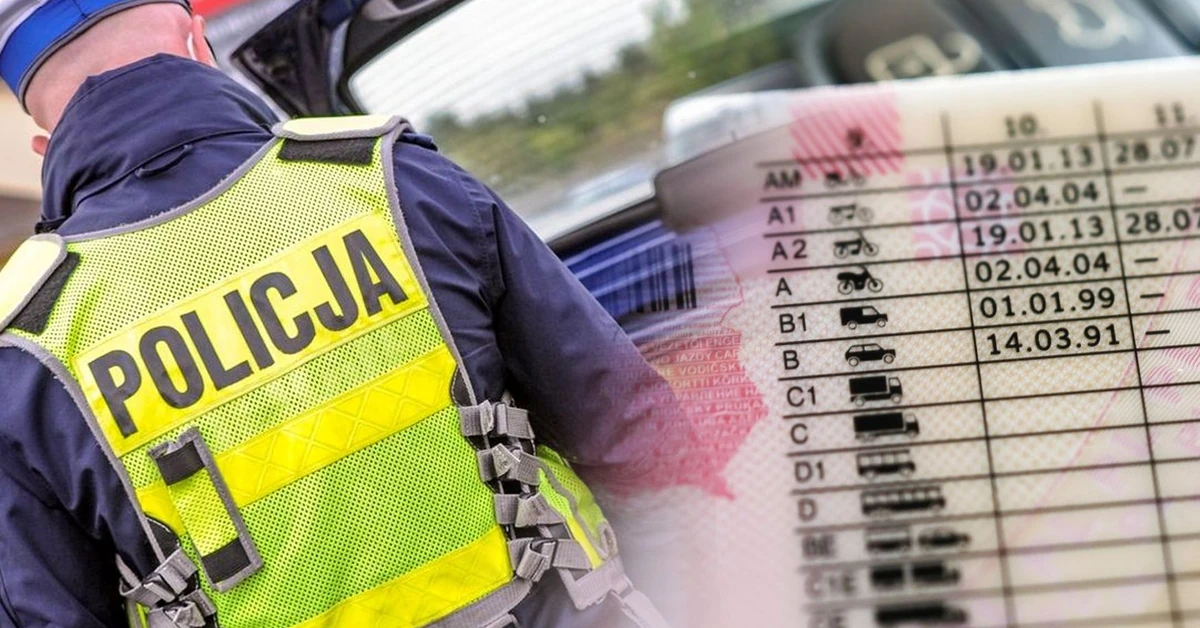 Obowiązek wymiany prawa jazdy. 185 dni lub kara i zakaz prowadzenia