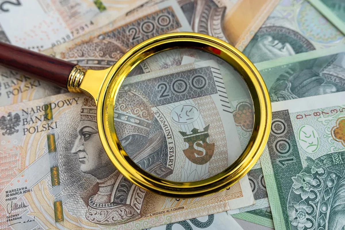 Coraz częściej Polacy chcą łączyć świadczenia. Np. wspierające i pielęgnacyjne. Nie ma na to pieniędzy