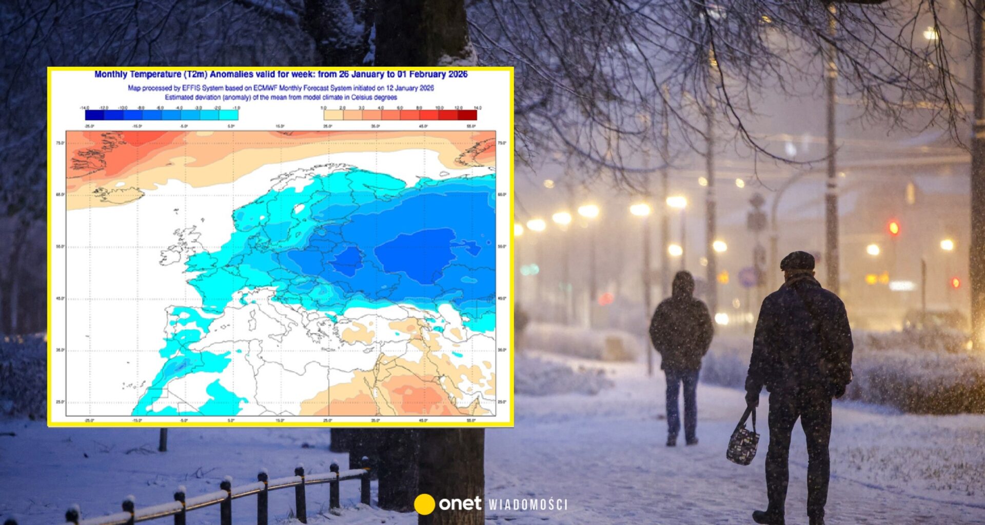 Zwrot w nowych prognozach długoterminowych. Polsce może zagrozić fala mrozów
