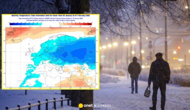 Zwrot w nowych prognozach długoterminowych. Polsce może zagrozić fala mrozów