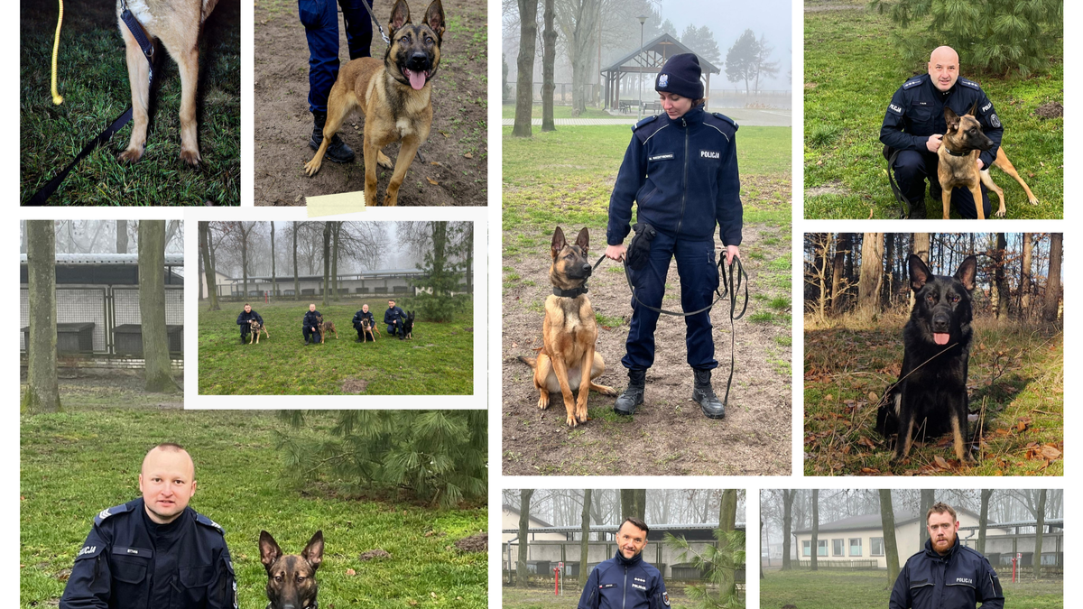 Nowy pies służbowy w gryfickiej policji