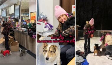 Doda ratuje psy przed mrozem. Zdjęcia ze schroniska