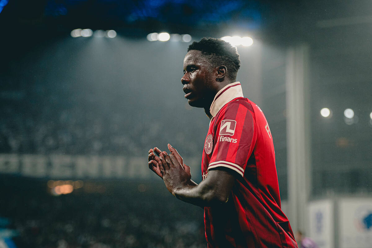 Zdjęcie użytkownika