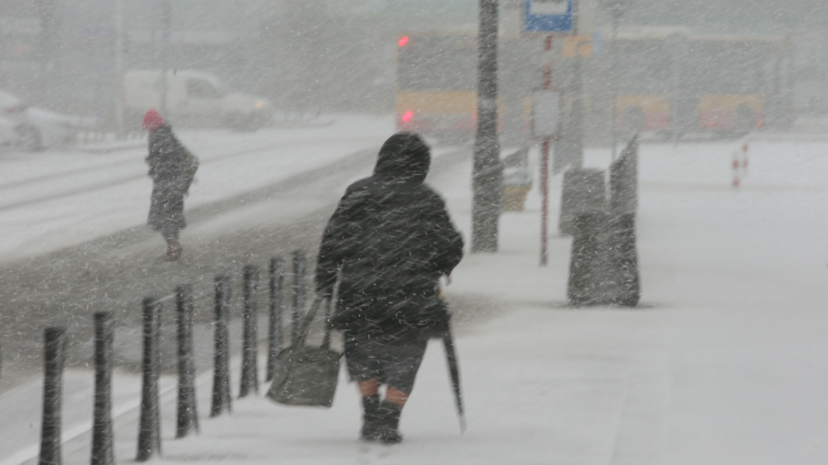 Śnieżyca nad Polską, pilna aktualizacja. Meteorolodzy pokazali animację - Polska