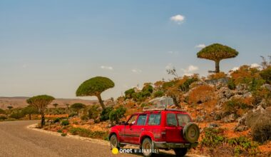 Polacy utknęli na niebezpiecznej wyspie w Jemenie. Nowe informacje