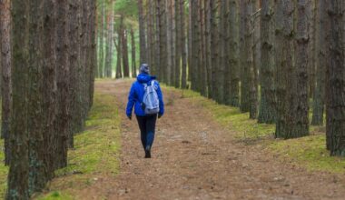 Nowe przepisy i wysokie kary od 2026 r. "Zagrożenie dla życia i zdrowia ludzi"