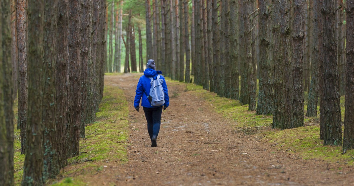 Nowe przepisy i wysokie kary od 2026 r. "Zagrożenie dla życia i zdrowia ludzi"