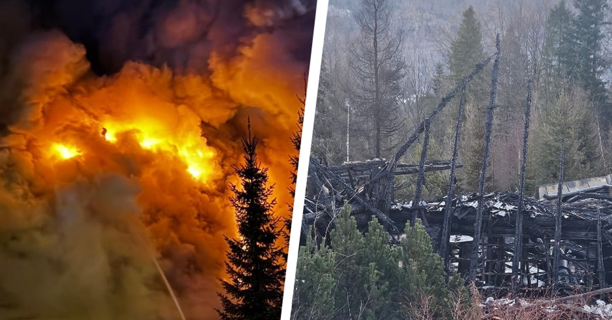 Wesele zamieniło się w dramat. Nowe informacje po nocnym pożarze w Targanicach