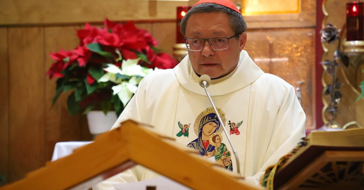 Kardynał Ryś wykorzystany przez oszustów. Kuria ostrzega i apeluje