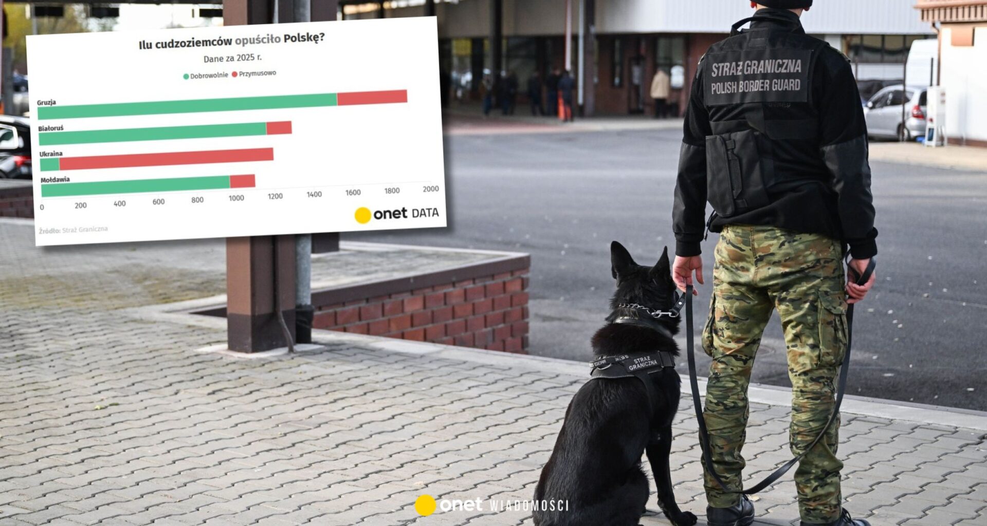 Masowe deportacje z Polski. Mamy najnowsze dane Straży Granicznej [WYKRESY] - Onet Wiadomości