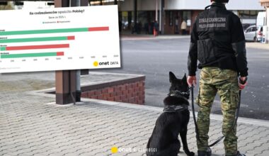 Masowe deportacje z Polski. Mamy najnowsze dane Straży Granicznej [WYKRESY] - Onet Wiadomości