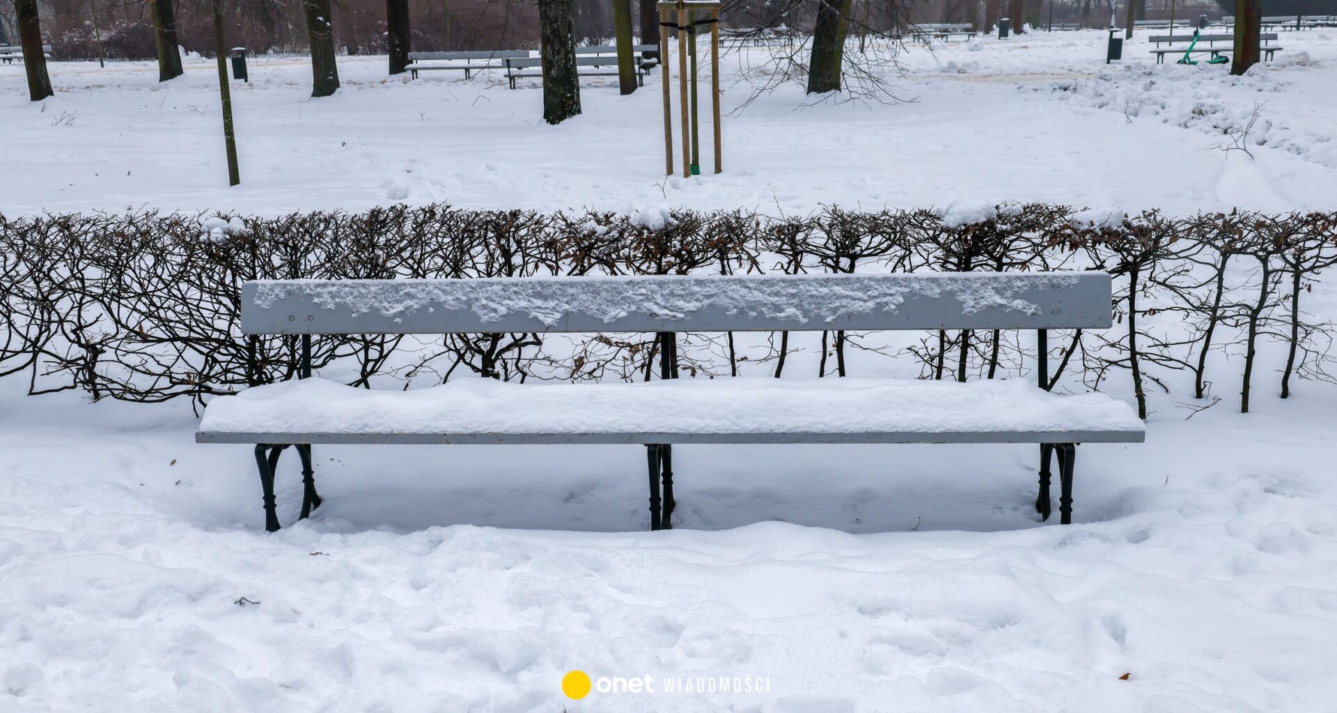 Silne mrozy w Polsce. MSWiA i IMGW ostrzegają przed zagrożeniem