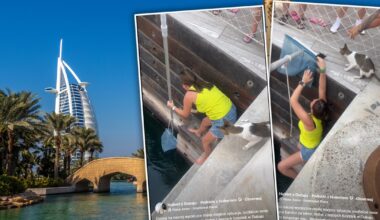 Pani Ania została bohaterką w Dubaju. Nie każdy by się na to zdobył