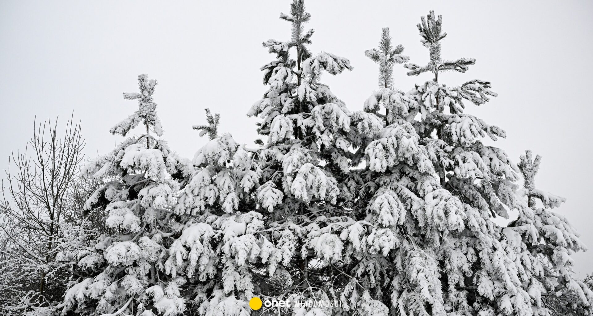 Trzy ofiary mrozów w Polsce. Jest pilny apel policji