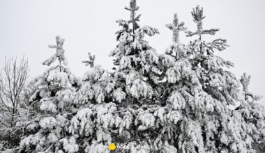 Trzy ofiary mrozów w Polsce. Jest pilny apel policji