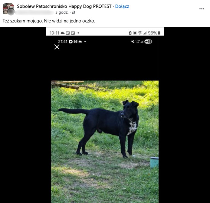 Wpis na grupie Sobolew Patoschronisko Happy Dog PROTEST