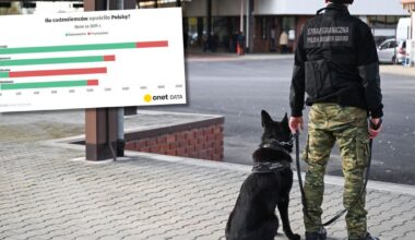 Masowe deportacje z Polski. Mamy najnowsze dane Straży Granicznej [WYKRESY] - Onet