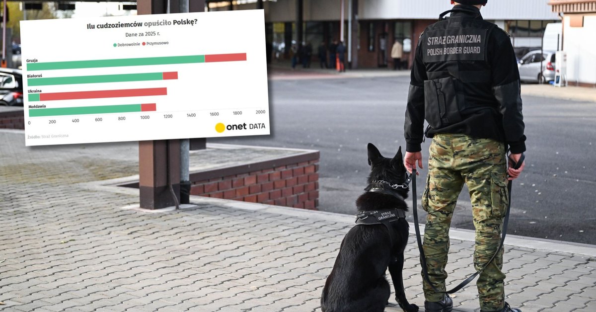 Masowe deportacje z Polski. Mamy najnowsze dane Straży Granicznej [WYKRESY] - Onet