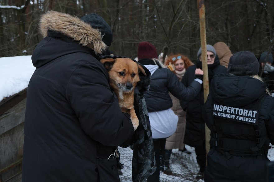 Ewakuacja schroniska w Sobolewie