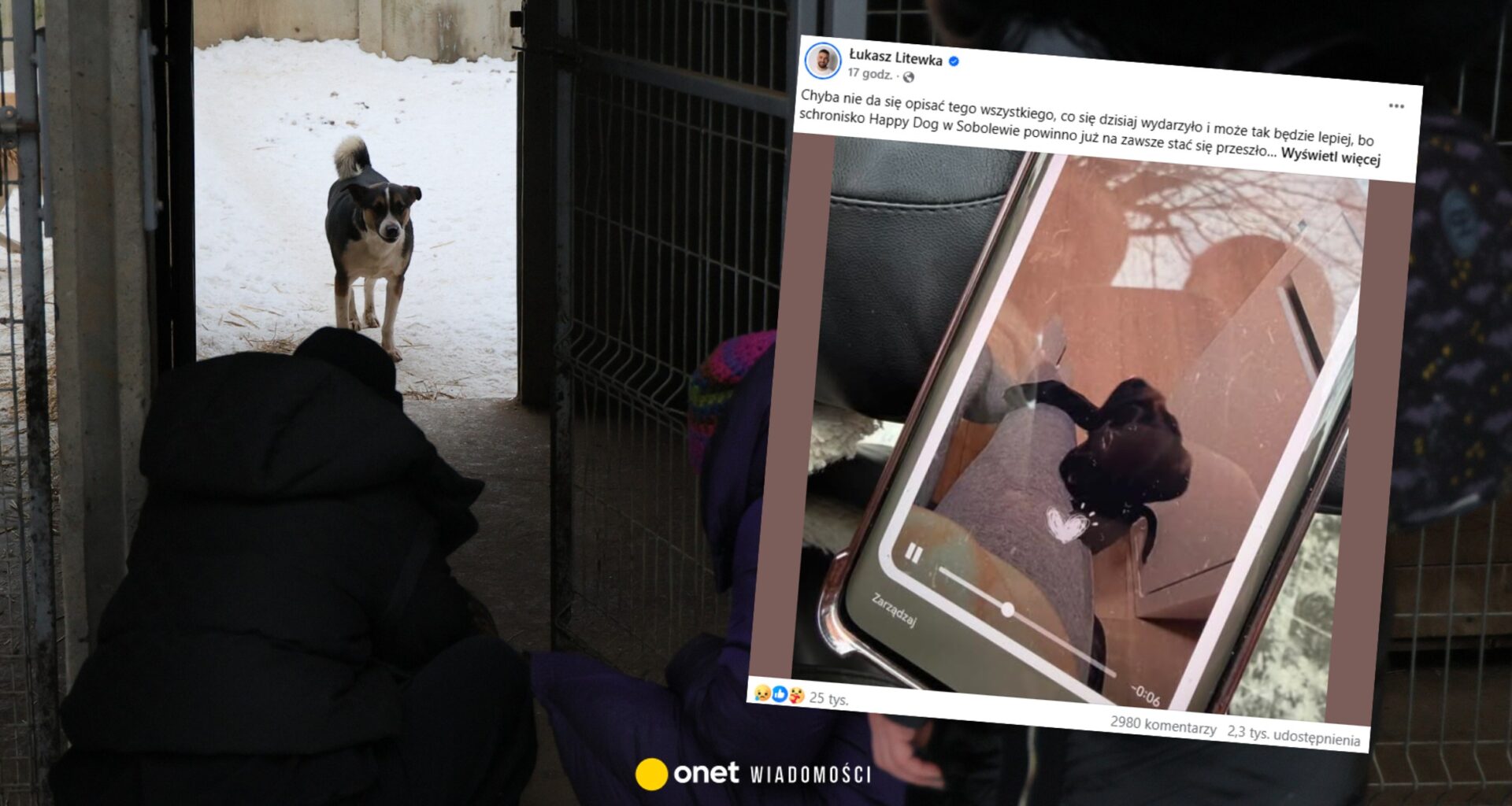 Ola straciła psa w schronisku w Sobolewie. Takich przypadków może być więcej