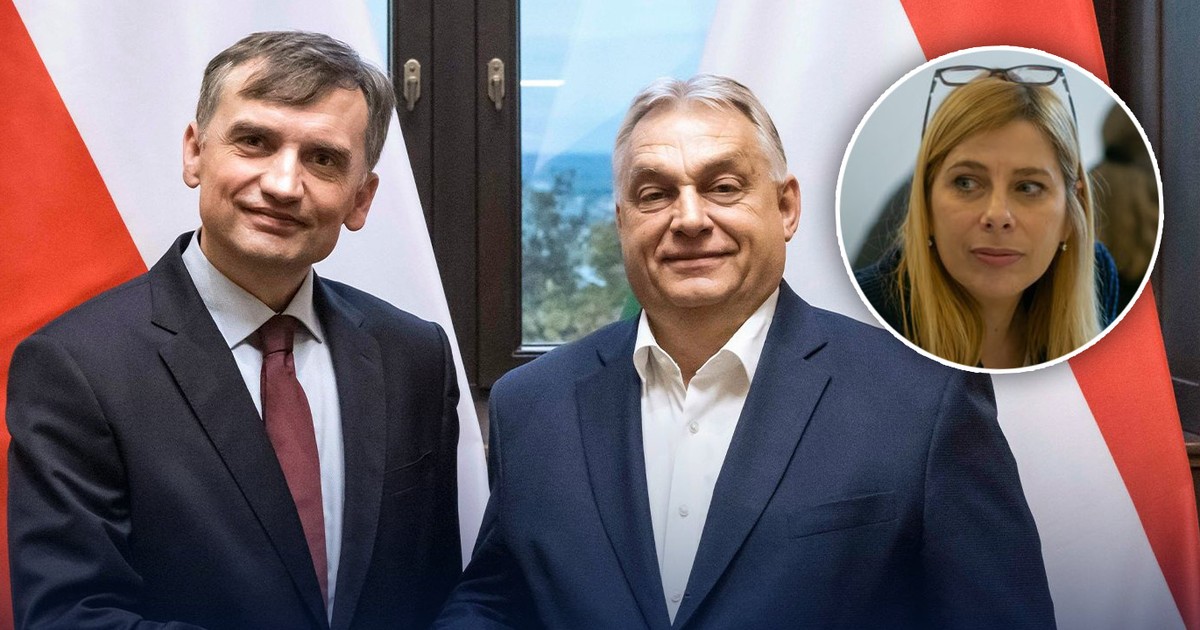 Ziobro dostanie pracę od Węgrów? "To bardzo prawdopodobne"