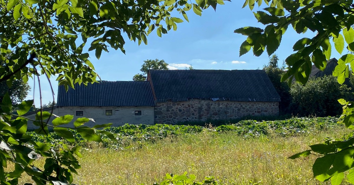 Zgłoszenie azbestu do gminy 2026 - wniosek do 31 stycznia [PDF]. Za brak deklaracji grozi kara do 20 tys. zł