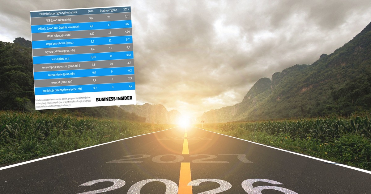Najsilniejsze punkty polskiej gospodarki. Oto, z czym wchodzimy w 2026 r. [ANALIZA]