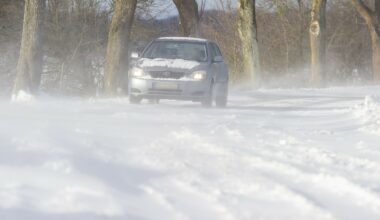Ciało znaleziono nad rzeką. Są wyniki sekcji zwłok Emilii