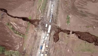 Recepta na głód. Naukowcy wskazali źródło pożywienia dla milionów ludzi