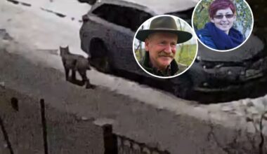 Ujęcie z Biedronki. Para przyłapana. Komunikat policji