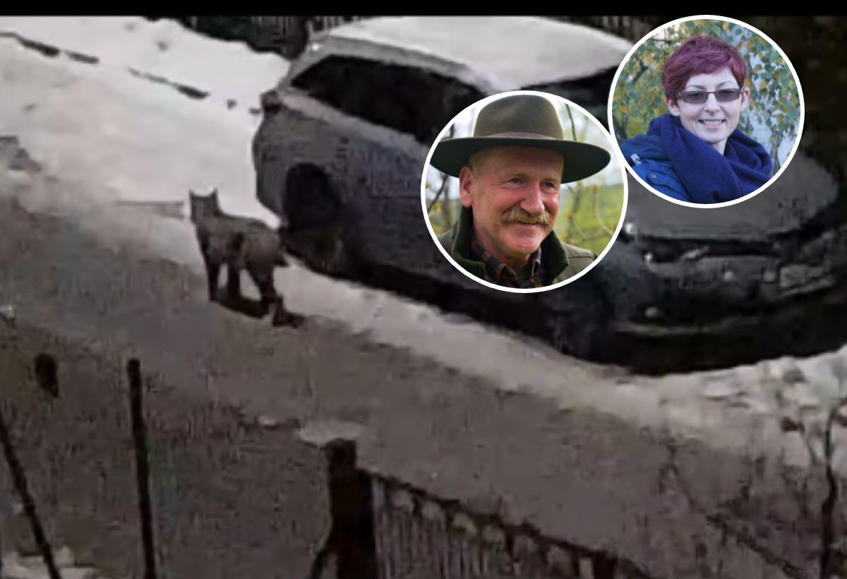 Ujęcie z Biedronki. Para przyłapana. Komunikat policji